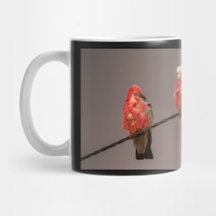 Birds on a Wire Mug